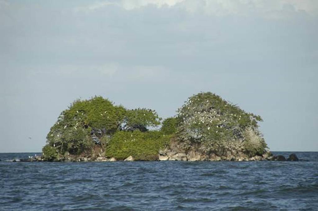 Hotel San Juan Ometepe Altagracia Εξωτερικό φωτογραφία